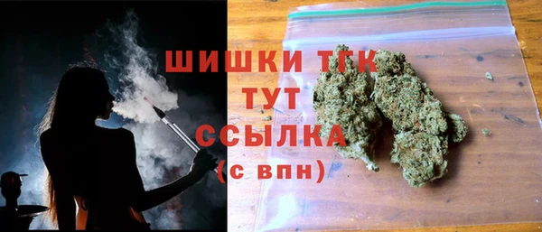 дмт Арсеньев