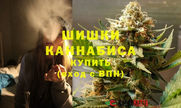 дмт Арсеньев