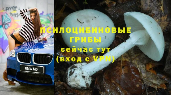 mix Армянск